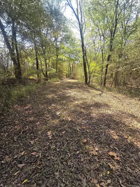 4675 Dooley Rd, Boles, AR 72926 photo 39