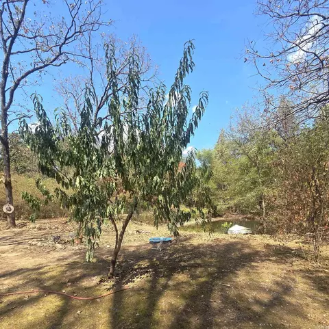 4675 Dooley Rd, Boles, AR 72926 photo 22