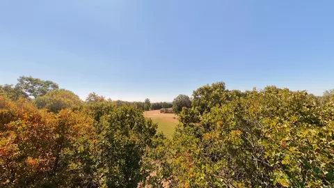 000 Pleasant Run Rd, Mammoth Spring, AR 72554 photo 39