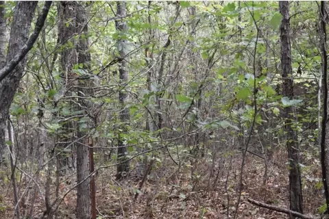 670 Mount Willow, Malvern, AR 72104 photo 15