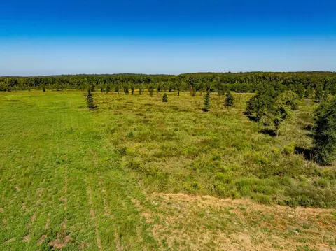 000 Hwy 13, Searcy, AR 72143 photo 13