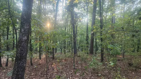 4682 E Hwy 88, Sims, AR 71969 photo 10