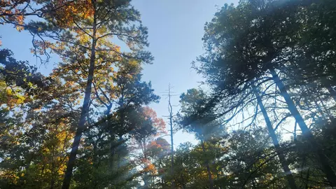 4682 E Hwy 88, Sims, AR 71969 photo 28