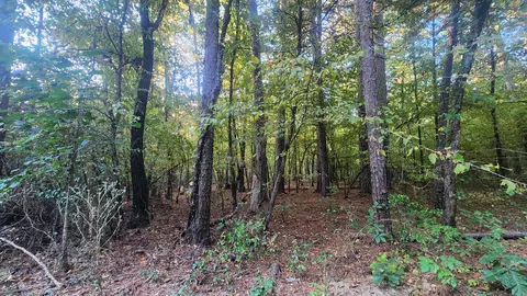 4682 E Hwy 88, Sims, AR 71969 photo 19