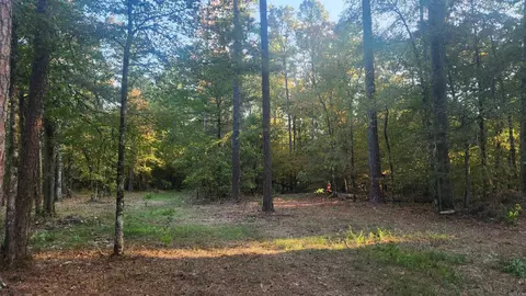 4682 E Hwy 88, Sims, AR 71969 photo 27