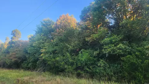 4682 E Hwy 88, Sims, AR 71969 photo 16
