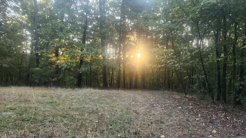 4682 E Hwy 88, Sims, AR 71969 photo 12