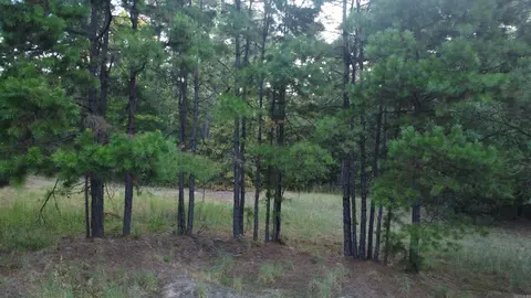 4682 E Hwy 88, Sims, AR 71969 photo 34