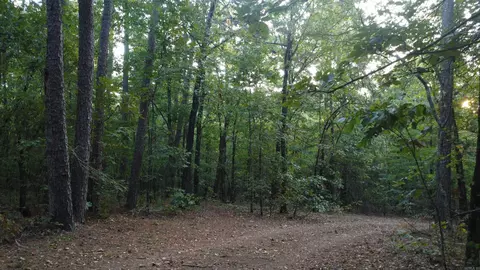 4682 E Hwy 88, Sims, AR 71969 photo 41