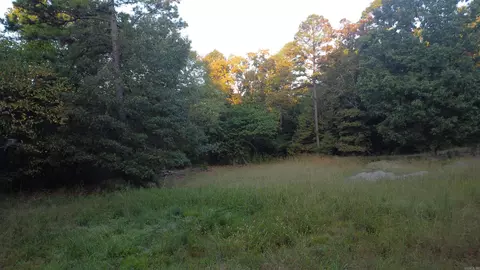 4682 E Hwy 88, Sims, AR 71969 photo 30