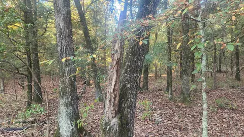 4682 E Hwy 88, Sims, AR 71969 photo 23