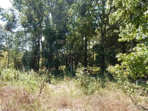 lot28 Cooterneck Rd, Heber Springs, AR 72543