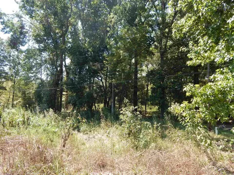lot28 Cooterneck Rd, Heber Springs, AR 72543