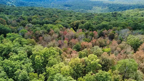 0 Iron Mountain Rd, Mountain View, AR 72560 photo 7