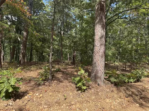 0 Iron Mountain Rd, Mountain View, AR 72560 photo 4