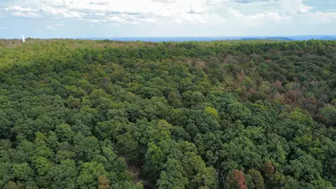 0 Iron Mountain Rd, Mountain View, AR 72560 photo 6