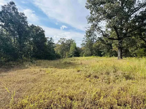 0 Hwy 9 S, Mountain View, AR 72560 photo 21
