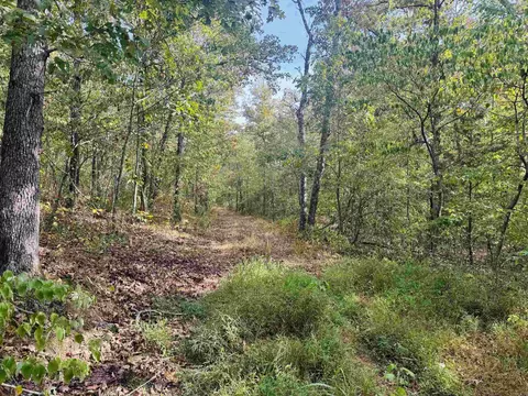 0 Hwy 9 S, Mountain View, AR 72560 photo 17