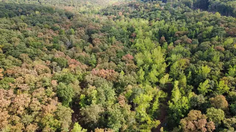 0 Hwy 9 S, Mountain View, AR 72560 photo 9