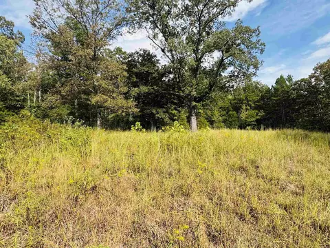 0 Hwy 9 S, Mountain View, AR 72560 photo 19