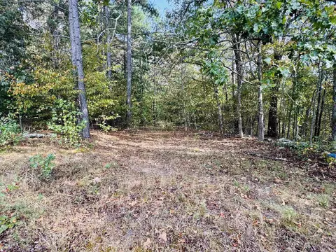 0 Hwy 9 S, Mountain View, AR 72560 photo 22