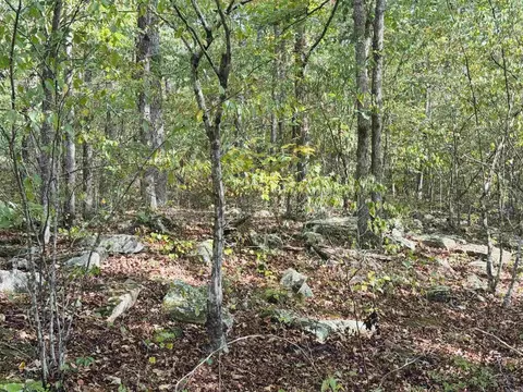 0 Hwy 9 S, Mountain View, AR 72560 photo 13