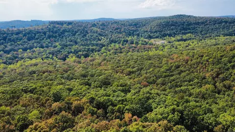 0 Hwy 9 S, Mountain View, AR 72560 photo 5