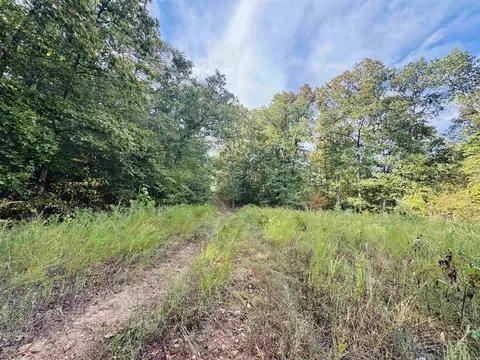 0 Hwy 9 S, Mountain View, AR 72560 photo 11