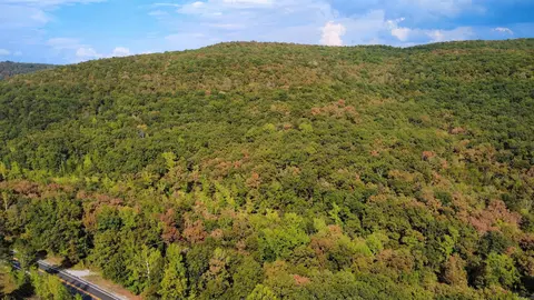 0 Hwy 9 S, Mountain View, AR 72560 photo 3