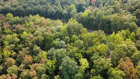 0 Hwy 9 S, Mountain View, AR 72560 photo 8