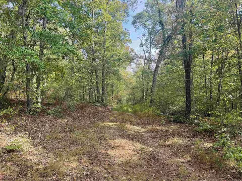 0 Hwy 9 S, Mountain View, AR 72560 photo 14