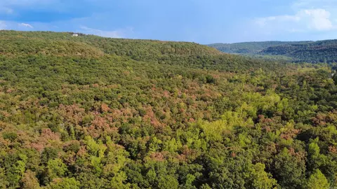 0 Hwy 9 S, Mountain View, AR 72560 photo 4