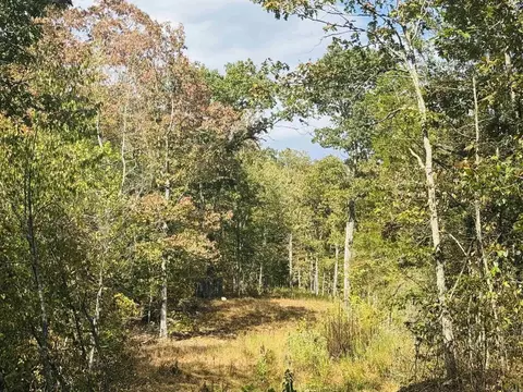 0 Hwy 9 S, Mountain View, AR 72560 photo 16
