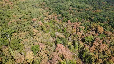 0 Hwy 9 S, Mountain View, AR 72560 photo 10