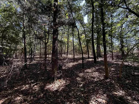 Tract A & Tract B, Cabot, AR 72023 photo 9