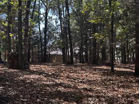 Tract A & Tract B, Cabot, AR 72023 photo 13