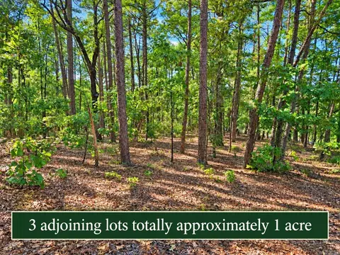 2 4 And 6 Cobrar Pl, Hot Springs Village, AR 71909