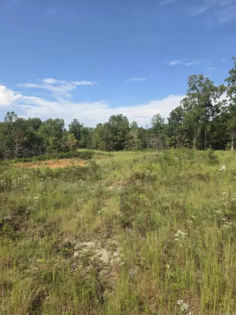 2561 Gutter Rd, Harriet, AR 72639 photo 14