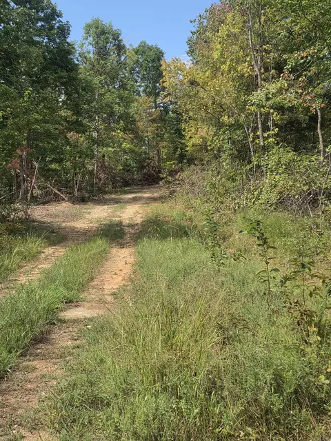 2561 Gutter Rd, Harriet, AR 72639 photo 11