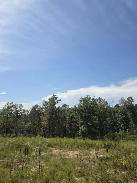 2561 Gutter Rd, Harriet, AR 72639 photo 15