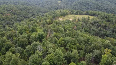 2561 Gutter Rd, Harriet, AR 72639 photo 9