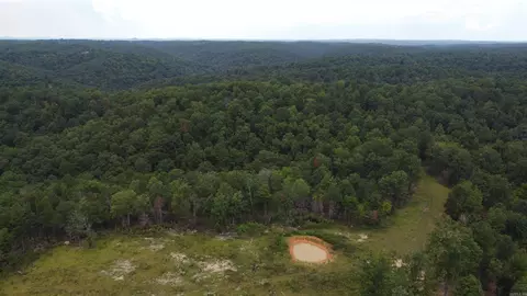 2561 Gutter Rd, Harriet, AR 72639 photo 4