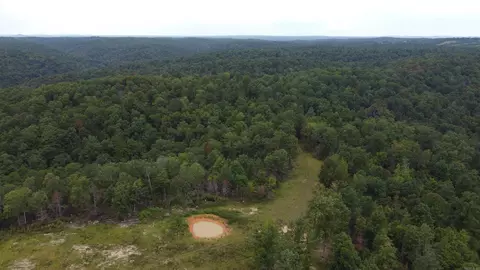 2561 Gutter Rd, Harriet, AR 72639 photo 3
