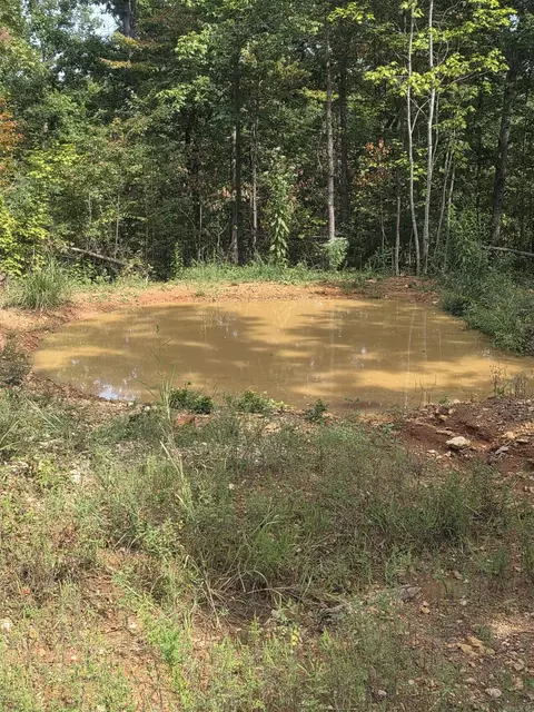 2561 Gutter Rd, Harriet, AR 72639 photo 10