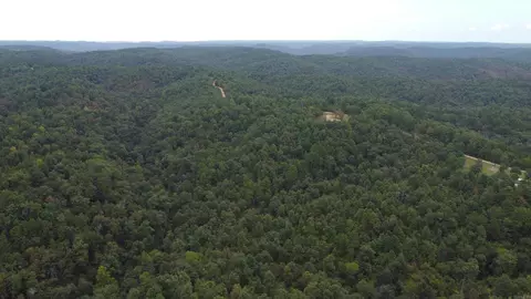 2561 Gutter Rd, Harriet, AR 72639 photo 5