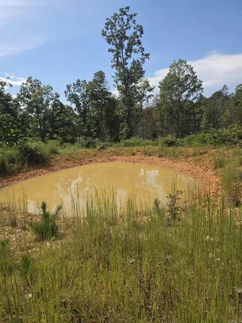 2561 Gutter Rd, Harriet, AR 72639 photo 18