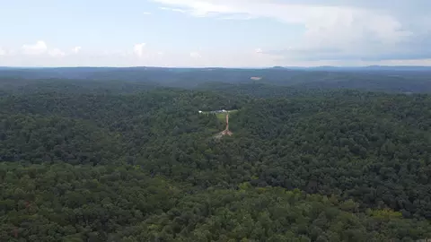 2561 Gutter Rd, Harriet, AR 72639 photo 8