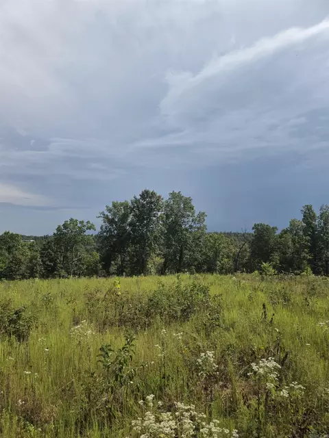 2561 Gutter Rd, Harriet, AR 72639 photo 17