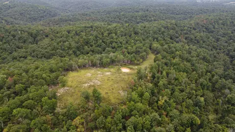 2561 Gutter Rd, Harriet, AR 72639 photo 7