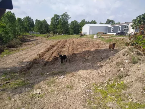 2561 Gutter Rd, Harriet, AR 72639 photo 33
